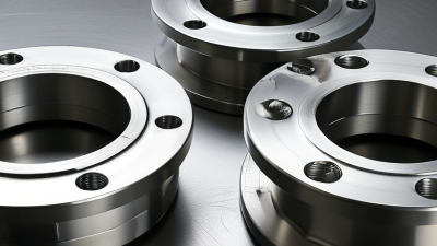 How to Choose 304 Stainless Steel Flanges for Your Needs?