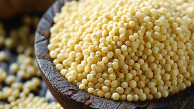 What Are the Best Methods for Fertilizer Granulation?