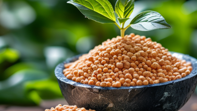 What is Fertilizer Granulation and How Does It Work?