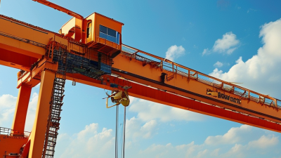 China Best Girder Crane for Global Buyers What to Know?