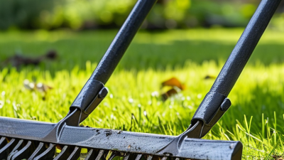 How to Choose the Best Turf Rakes for Your Landscaping Needs?