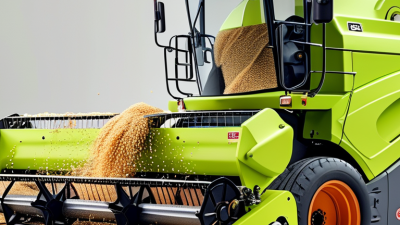 Best Grain Destoner Machine for Efficient Grain Processing?