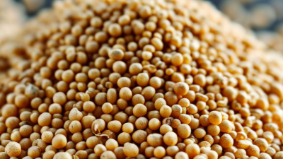 What is Fertilizer Granulation Process and Its Benefits?