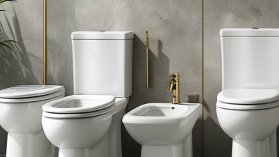 What is the Ideal 19 Inch Toilet Bowl Height for Comfort?