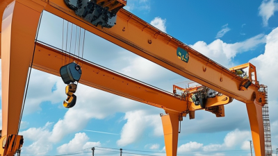 The Ultimate Guide to Electric Monorail Hoist for Global Buyers?
