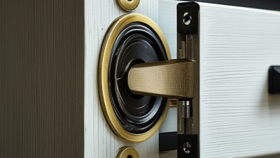 How to Choose the Best Heavy Duty Drawer Lock for Your Needs?