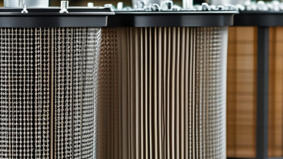 How to Choose the Best Screen Mesh Filter for Your Needs?