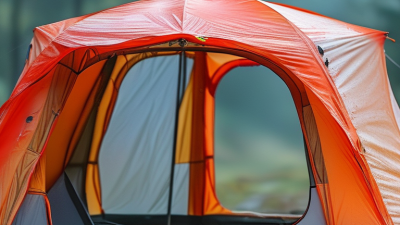 Top 10 Strong Demon Tarp Options for Global Buyers?