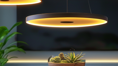 Why Choose Led Ceiling Pot Lights for Your Home Lighting Needs?
