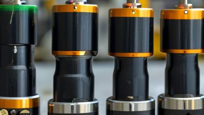 Top 5 Roller Microswitch Options for Your Business Needs?