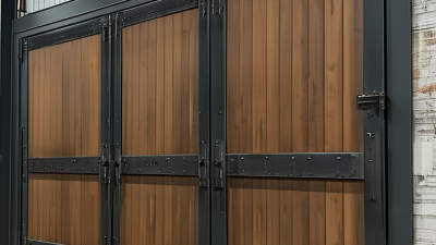 What is Steel Double Doors A Comprehensive Buying Guide?