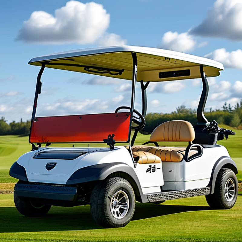 2026 How to Choose the Best Fast Golf Carts for Your Needs?