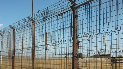 How to Choose the Best Welded Wire Mesh Fence Panels?