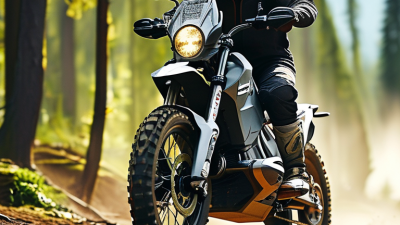 How to Choose the Best Electric Adult Dirt Bikes for You?