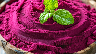 Is Beet Root Powder the Best Superfood for Your Health?
