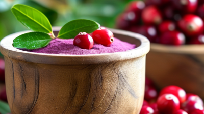 Why Choose Powdered Cranberry Extract for Your Health Needs?