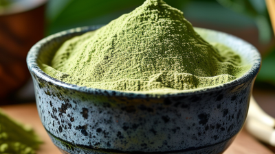 How to Choose the Best Culinary Matcha Powder for Cooking?