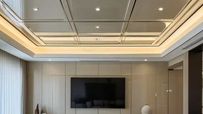 What are the Benefits of Plastic Ceiling Panels for Your Home?