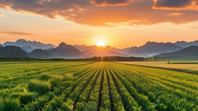 China Best Biostimulants for Global Sourcing Needs?