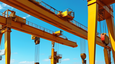 How to Choose the Right Overhead Crane for Your Business Needs?
