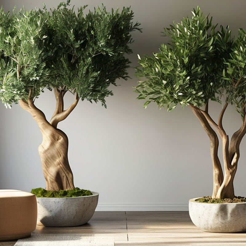 Best Faux Olive Tree Options for Your Home Decor Ideas?