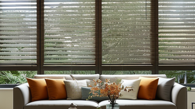 China Best Dual Layer Blinds for Your Home Decor Needs?