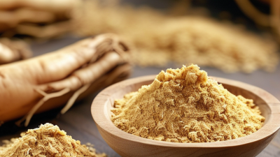 What is Ginseng Extract Benefits Uses and Sourcing?