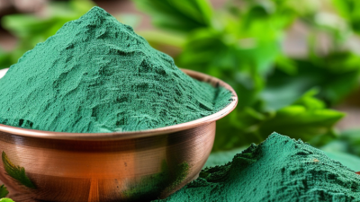 How to Source Sodium Copper Chlorophyllin Powder in 2026?