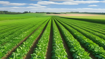 Top 10 Benefits of Using Compound Fertilizer for Crops?