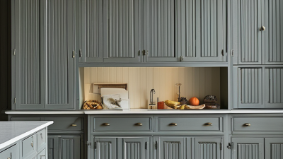 How to Choose Pocket Door Hinges for Cabinets?
