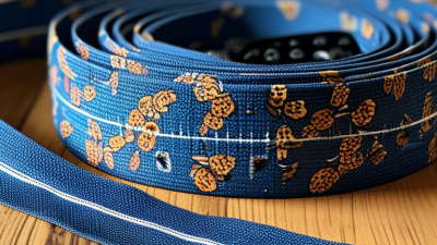 2026 How to Choose the Best 1 Inch Nylon Webbing for Your Needs?