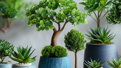 Top 10 Artificial Plant Bonsai Styles for Global Buyers?