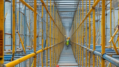 China Top 10 Rosette Ring Scaffold Products for Global Buyers?
