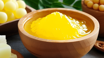 Top 10 Xanthan Gum Ingredients Why They Matter for Buyers