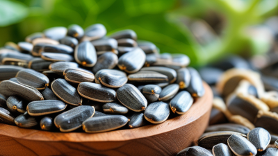 How to Buy High Quality Sunflower Seed Kernels Worldwide?