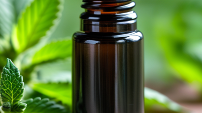 How to Choose the Best Mint Cbd Oil for Your Needs?