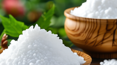 China Top Ammonium Nitrate Fertilizer Suppliers for Your Needs?