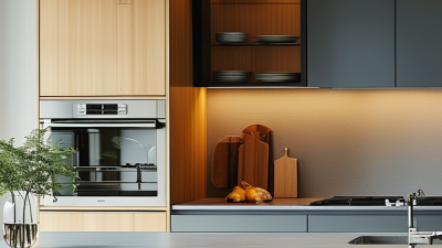 Why Choose Cabinet Door Shocks for Your Home Upgrade?
