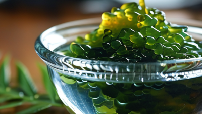 What are the Health Benefits of Fucoidan Extract?