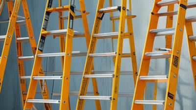 Best Tips for Choosing the Right Werner Step Ladder?