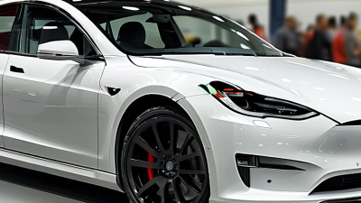 Best Tesla Model 3 Floor Mats for Global Buyers?