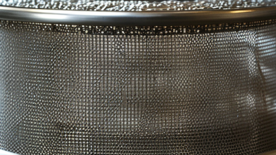 How to Choose the Best Stainless Mesh for Your Needs?
