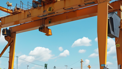 How to Choose the Best Small Gantry Crane for Your Needs?