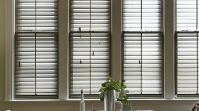 Top Tips for Choosing the Best Metal Louvers for Your Needs?