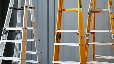 How to Choose the Best Aluminum Ladder for Your Needs?