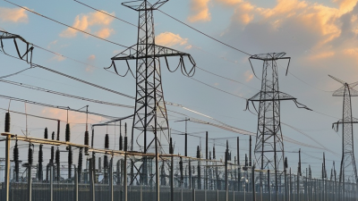 How to Choose the Best Composite Polymer Insulator for Your Needs?