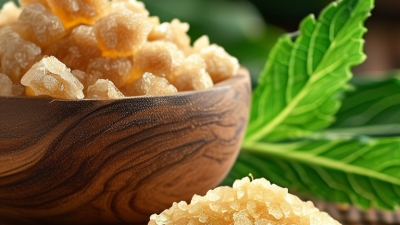 Top 10 Stevia Sugar Replacement Ingredients for Global Buyers