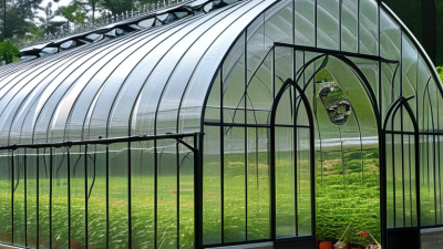 What is the Best Arch Greenhouse for Global Buyers?