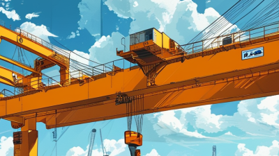 How to Choose the Best Overhead Crane for Your Needs?