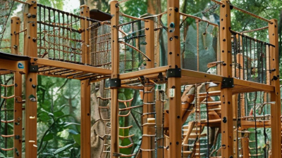 Best Outdoor Jungle Gym Options for Kids Worldwide?